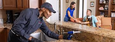 Best Pest Exclusion Services  in Roy, UT